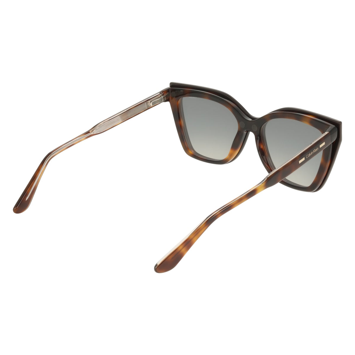 Prescription Glasses Calvin Klein (Ck) CK24550MAG-SET 242 55 17