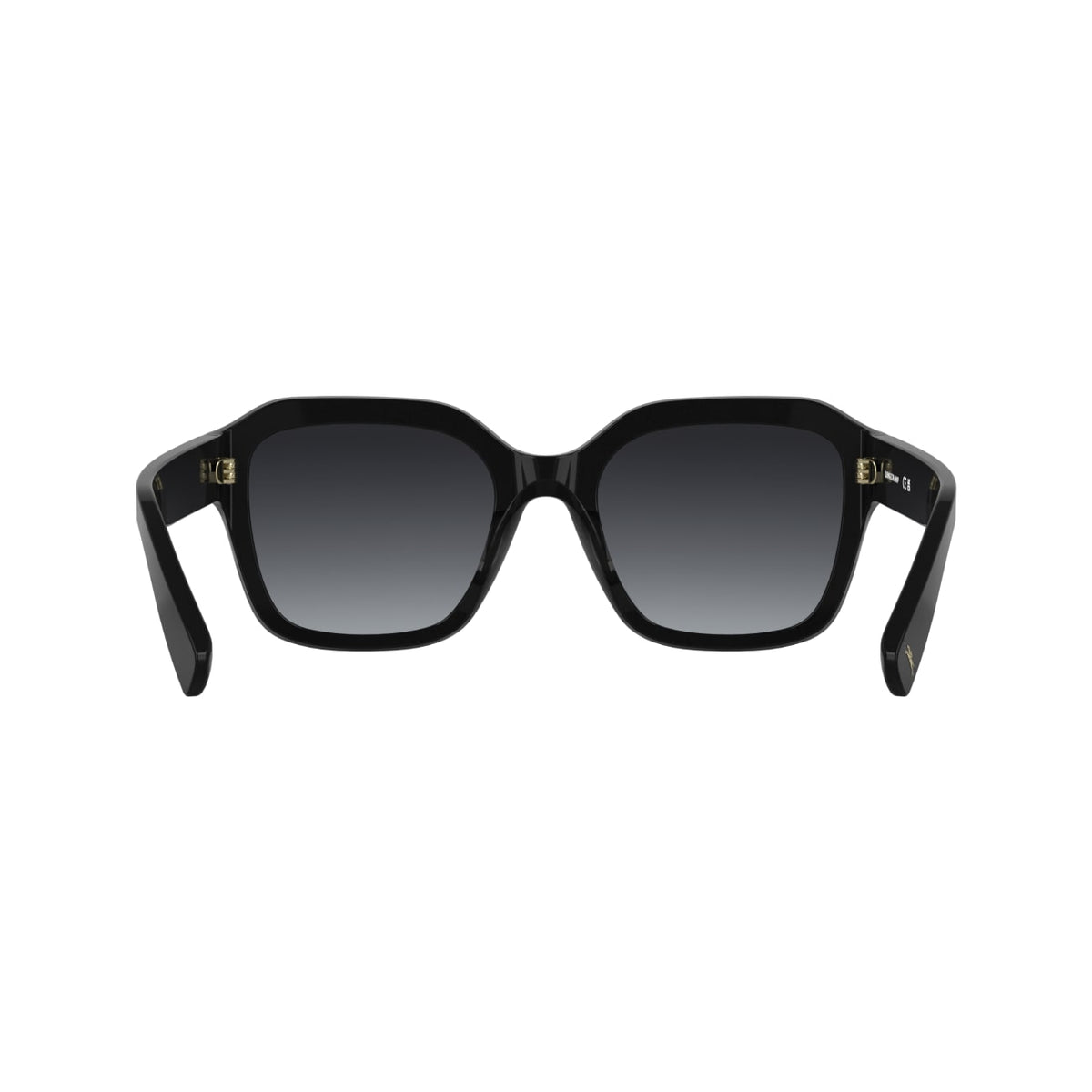 Sunglasses Longchamp LO816S 001 53 20