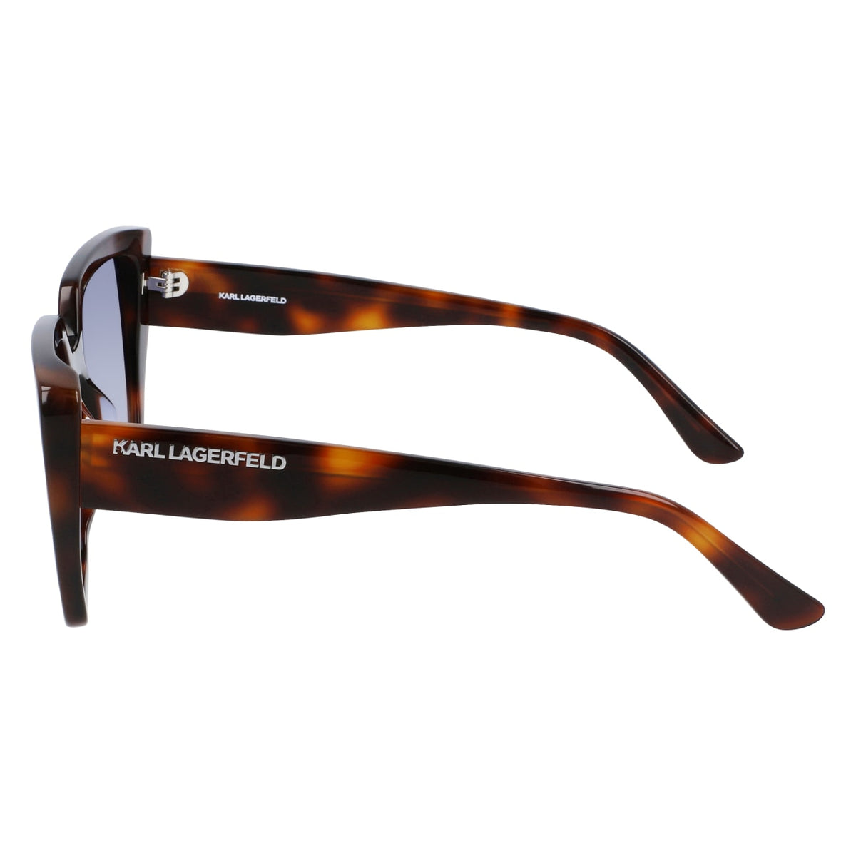 Gafas de Sol Karl Lagerfeld KL6036S 215 52 19