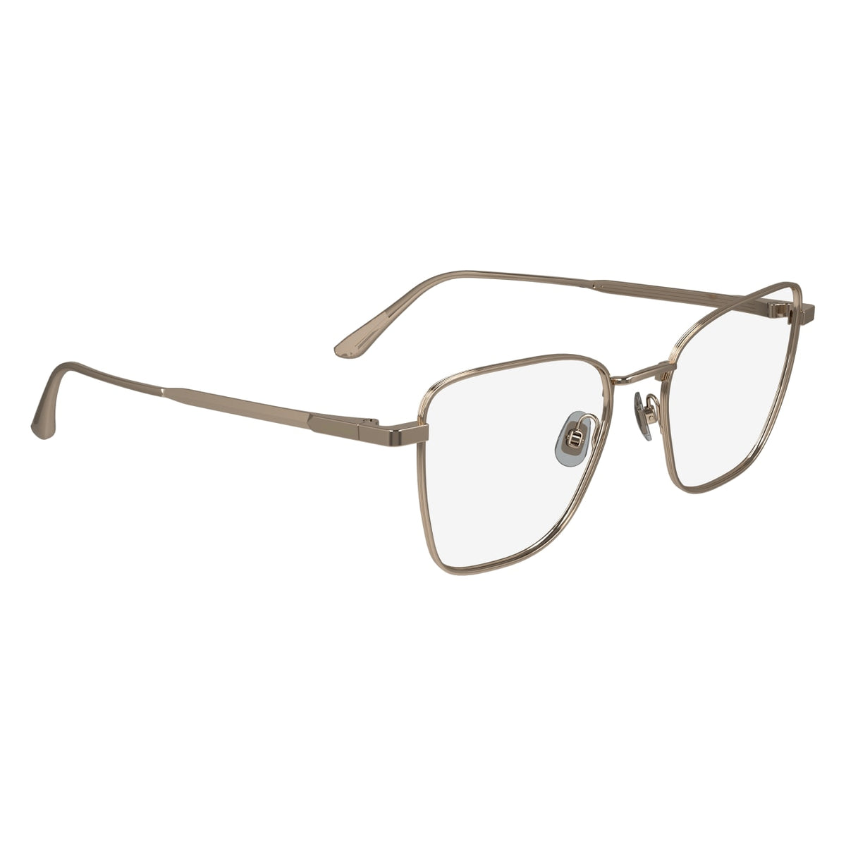 Prescription Glasses Calvin Klein (Ck) CK24102N 770 52 18