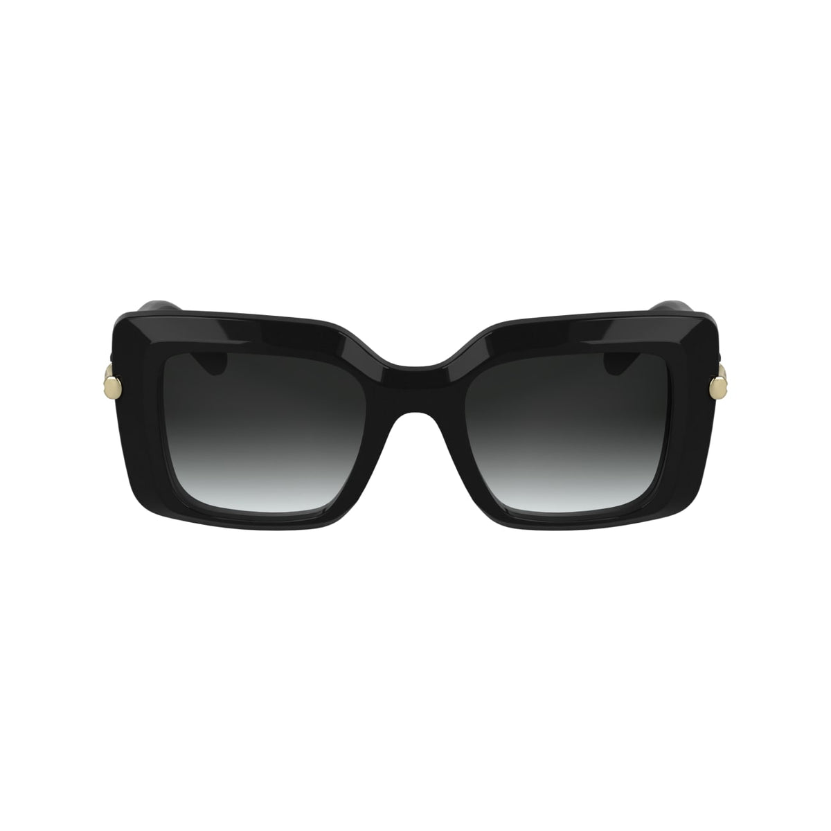 Gafas de Sol Longchamp LO776S 001 50 22