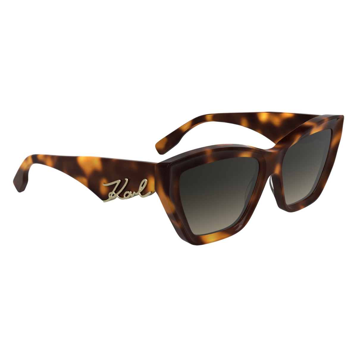 Gafas de Sol Karl Lagerfeld KL6179S 230 55 16