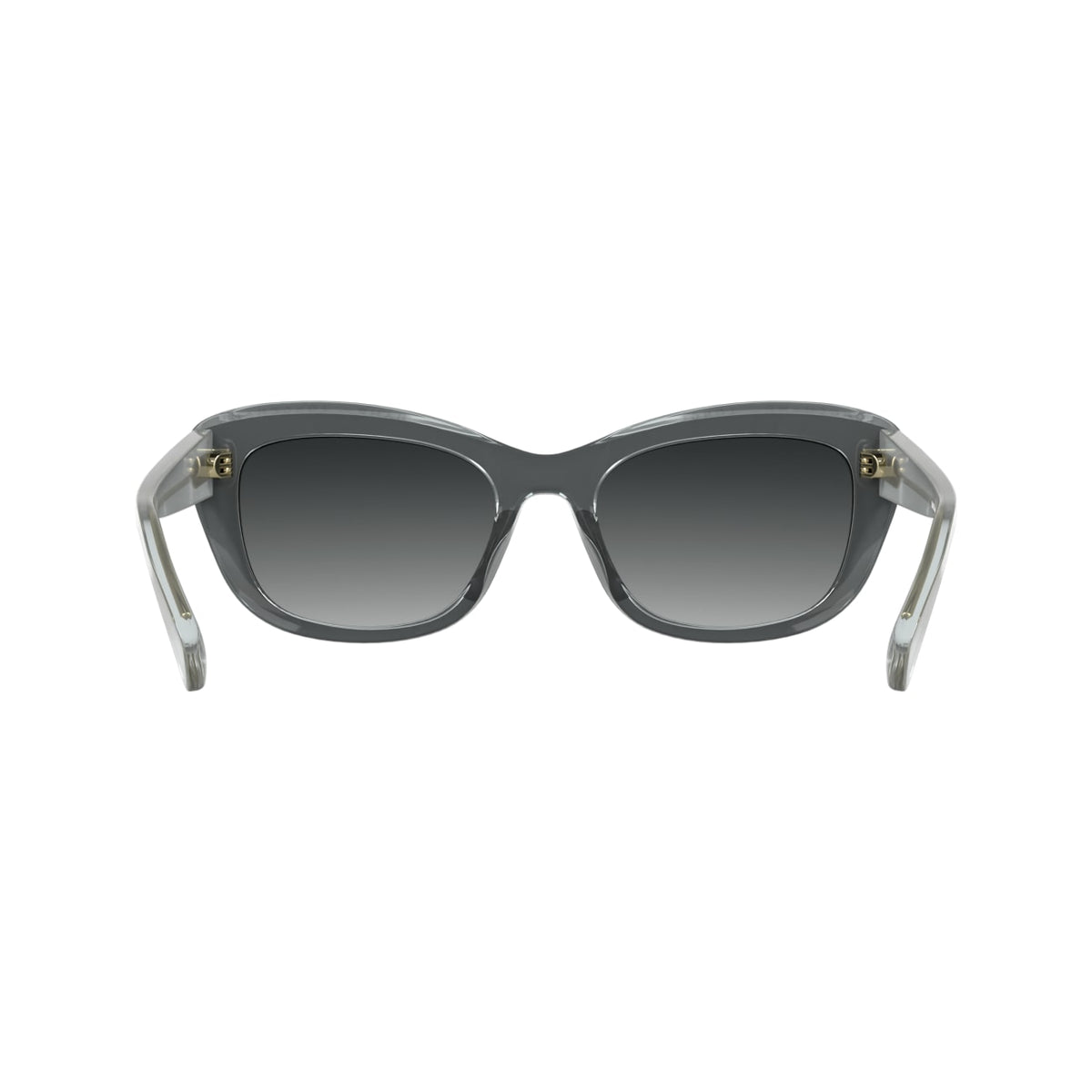 Gafas de Sol Longchamp LO817S 018 53 19