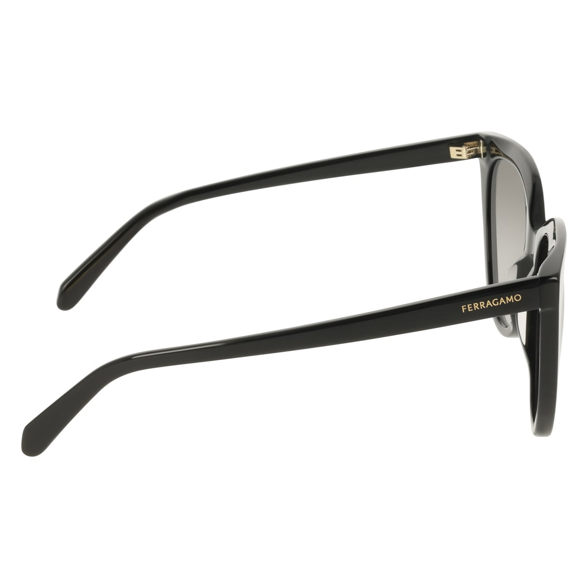 Sunglasses Ferragamo SF2101S 001 56 19
