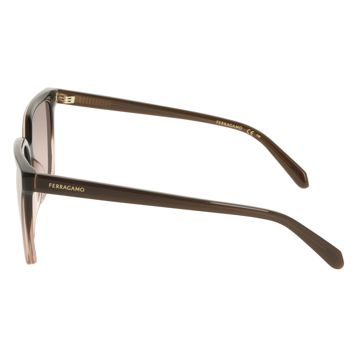 Gafas de Sol Ferragamo SF2102S 234 57 16