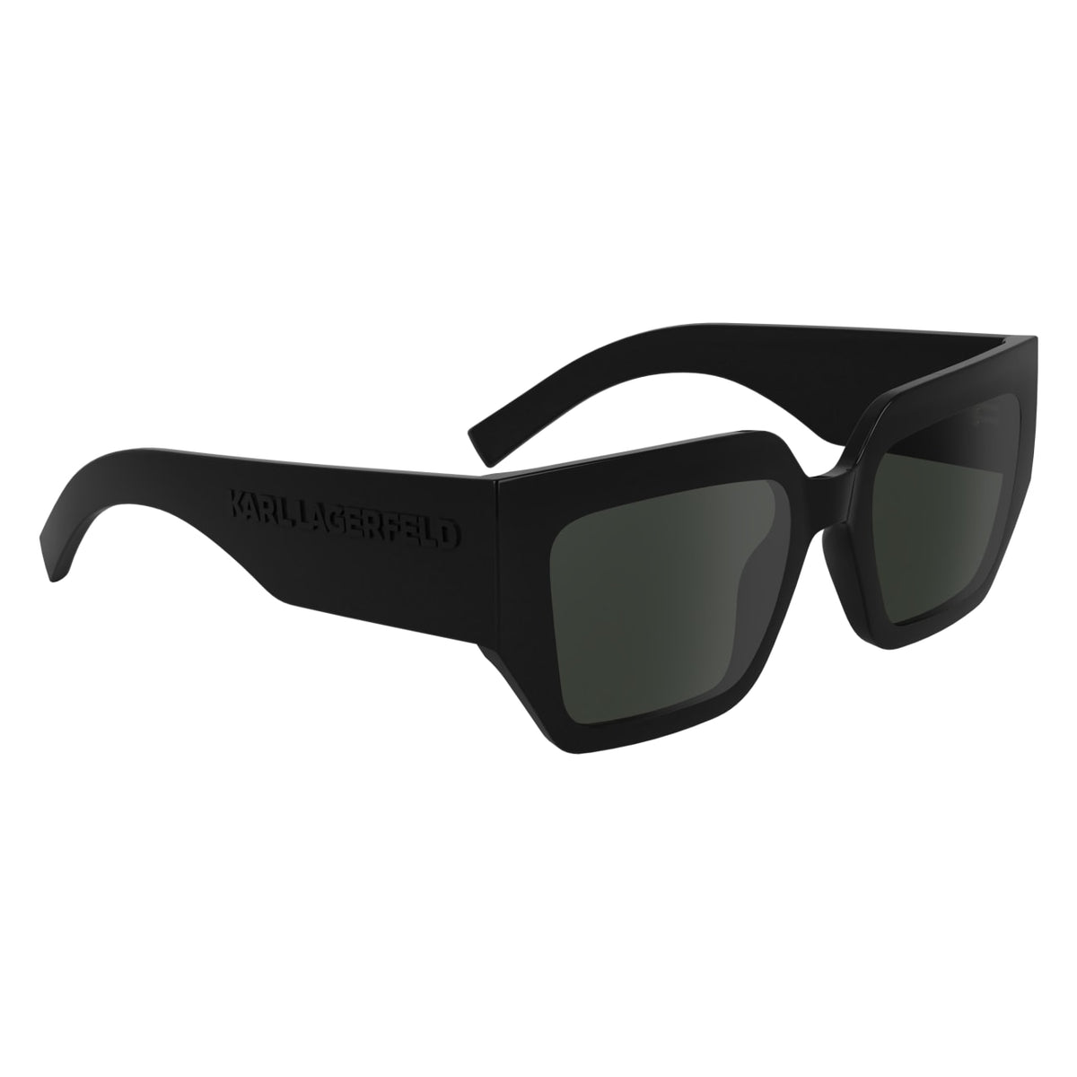 Gafas de Sol Karl Lagerfeld KL6166S 001 53 20