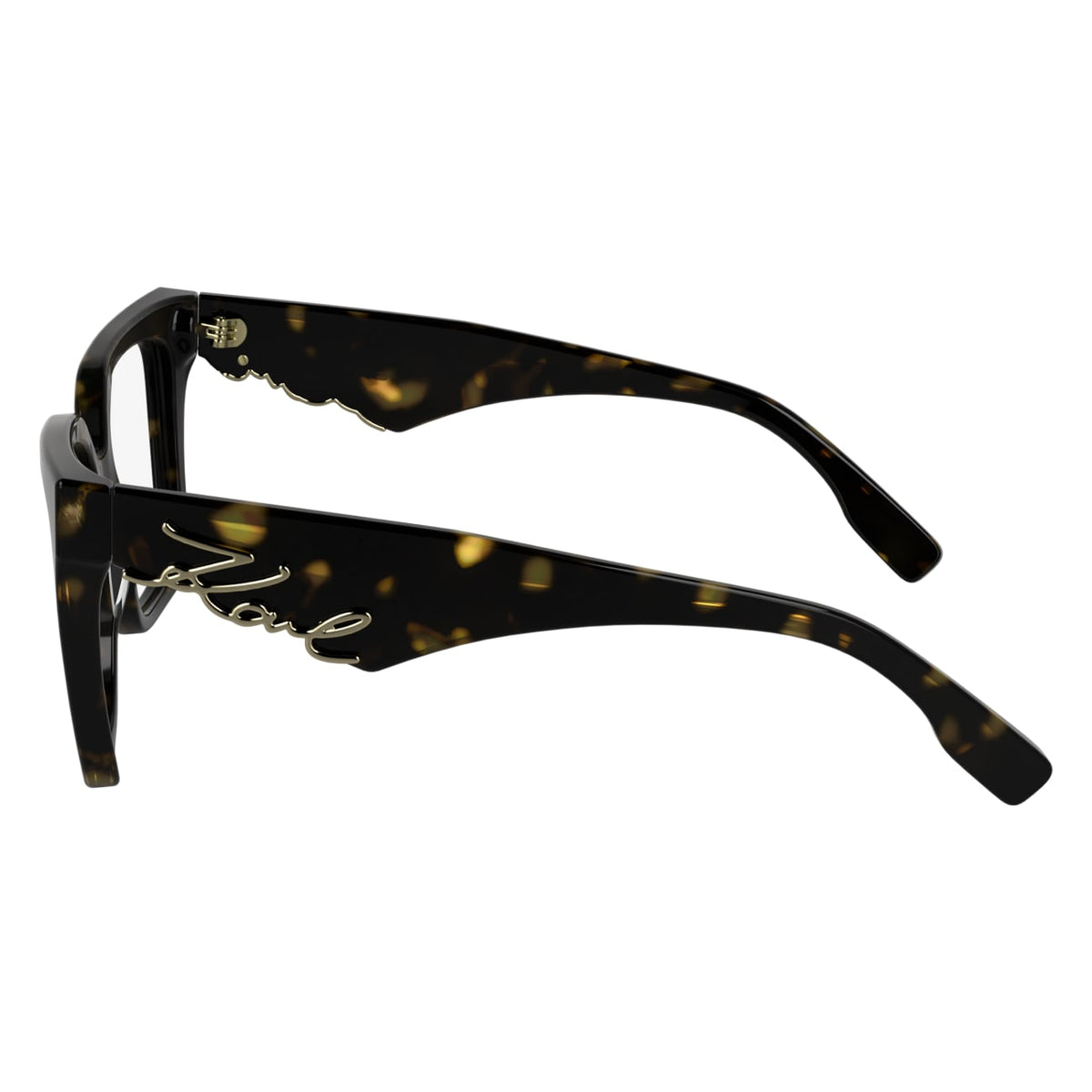 Prescription Glasses Karl Lagerfeld KL6170 242 53 17