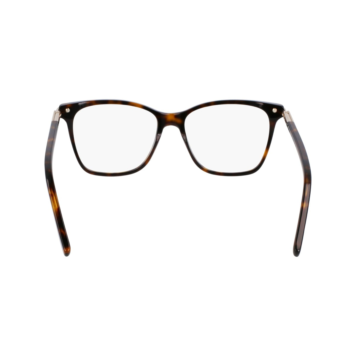 Prescription Glasses Ferragamo SF3013 242 53 / 55 15
