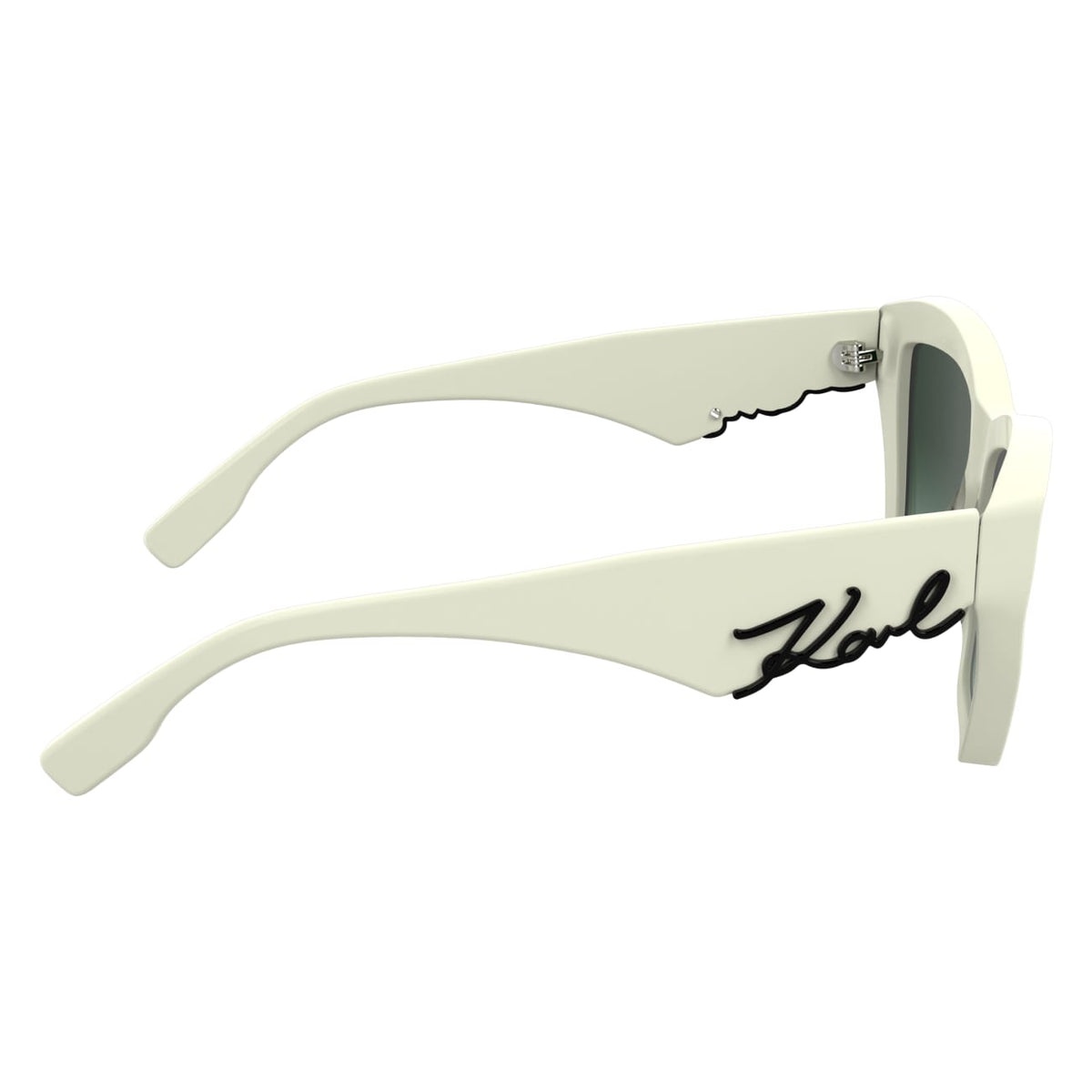 Gafas de Sol Karl Lagerfeld KL6179S 105 55 16