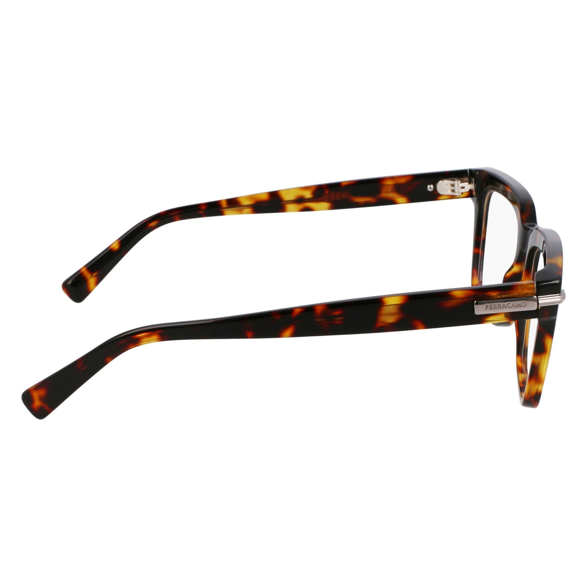 Gafas Graduadas Ferragamo SF3014 242 53 / 55 18