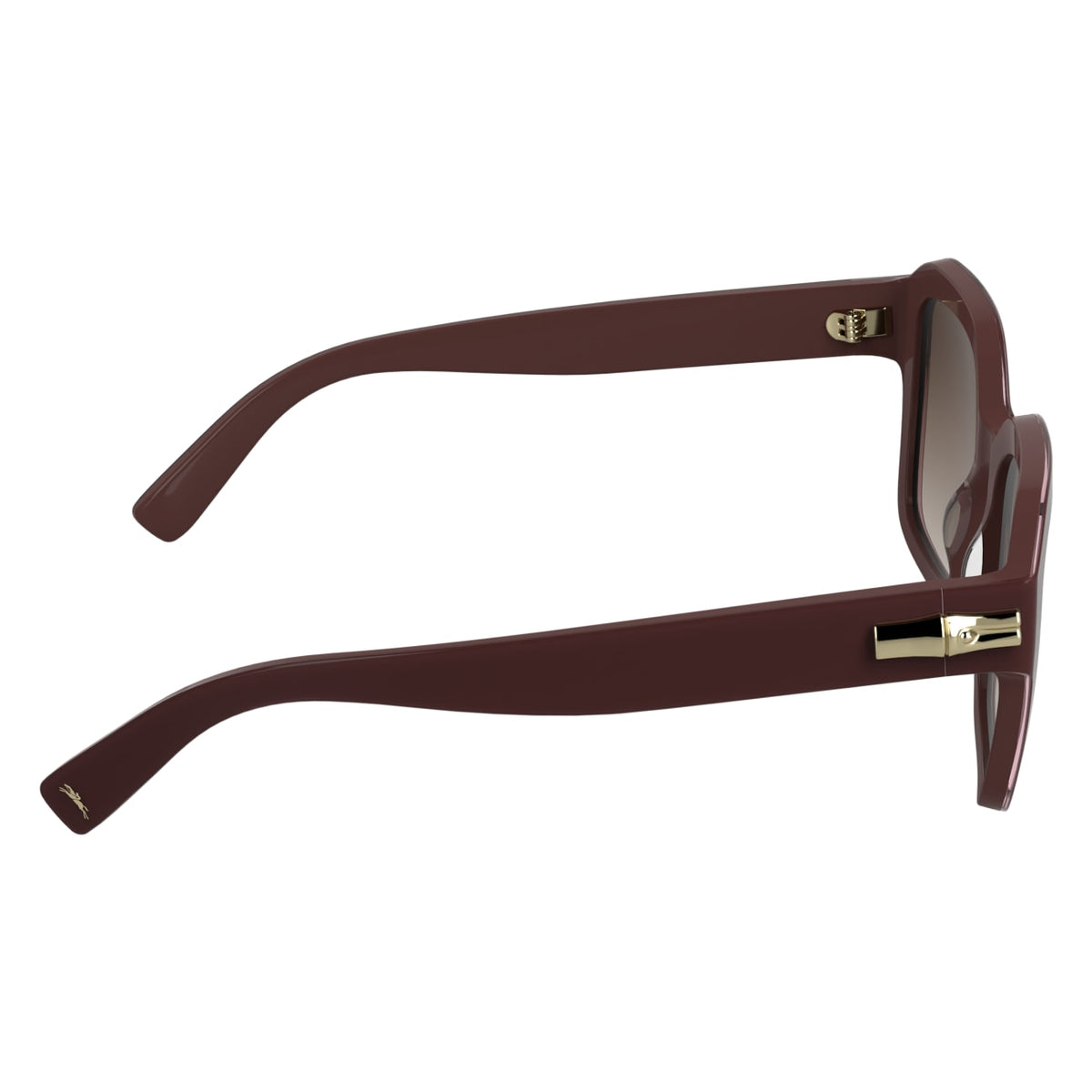 Sunglasses Longchamp LO816S 601 53 20