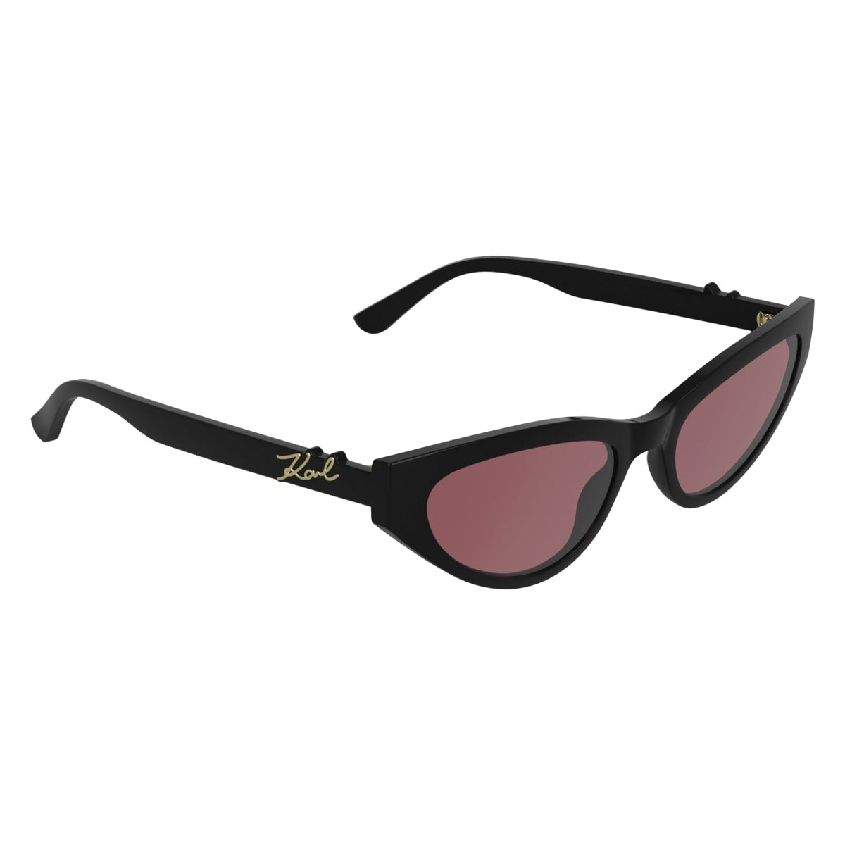 Gafas de Sol Karl Lagerfeld KL6248S 001 54 19