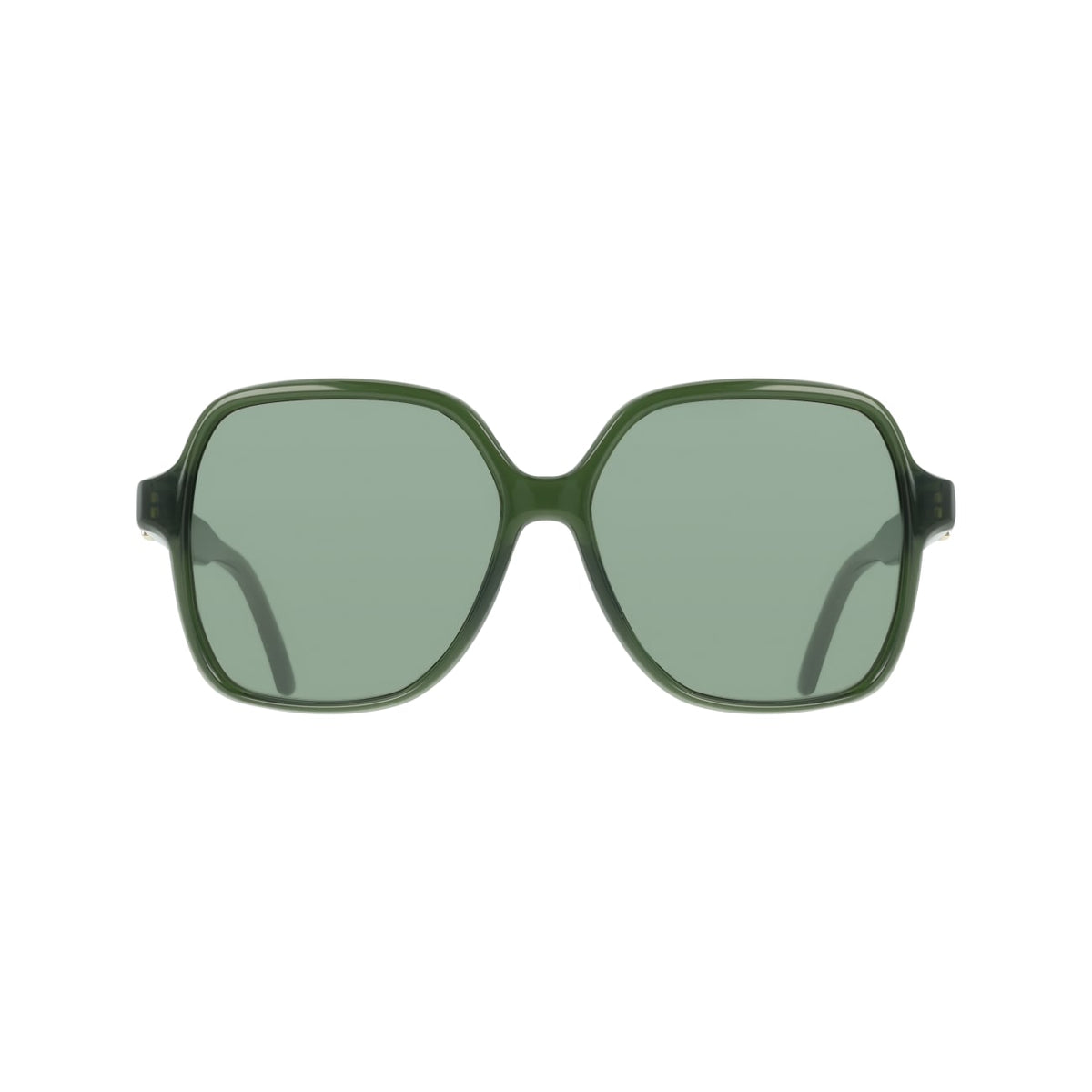 Gafas de Sol Ferragamo SF2069SE 317 57 15
