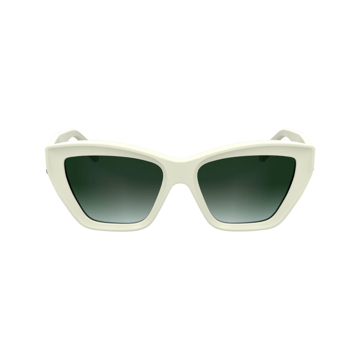 Gafas de Sol Karl Lagerfeld KL6179S 105 55 16