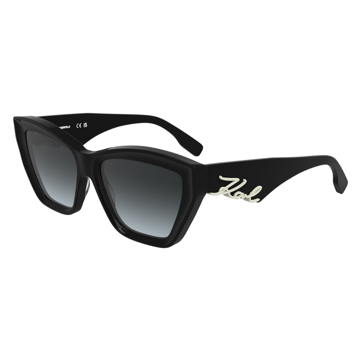 Gafas de Sol Karl Lagerfeld KL6179S 001 55 16