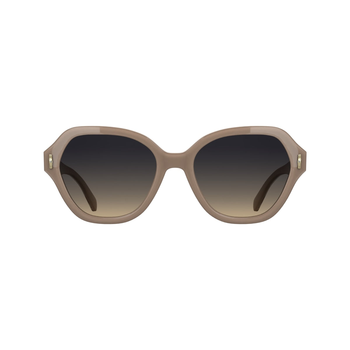 Gafas de Sol Longchamp LO801S 272 56 19