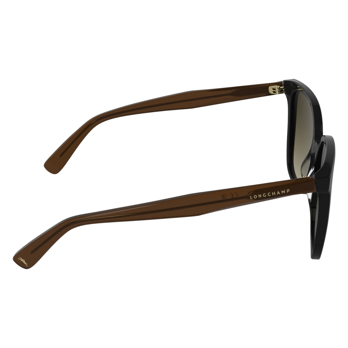 Gafas de Sol Longchamp LO807S 001 55 17
