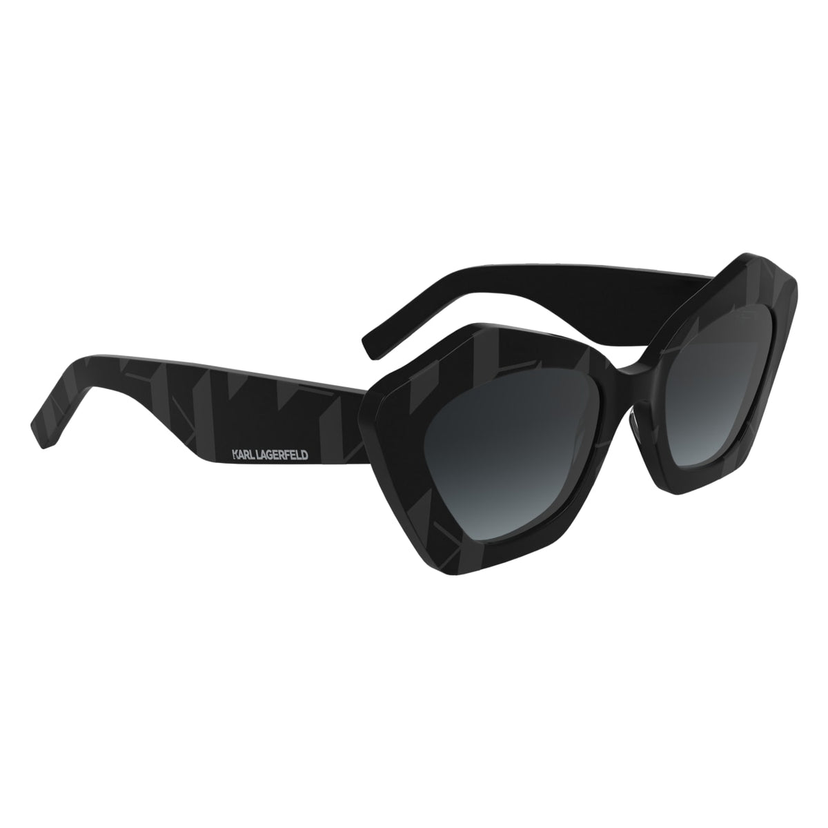 Gafas de Sol Karl Lagerfeld KL6199S 001 53 21