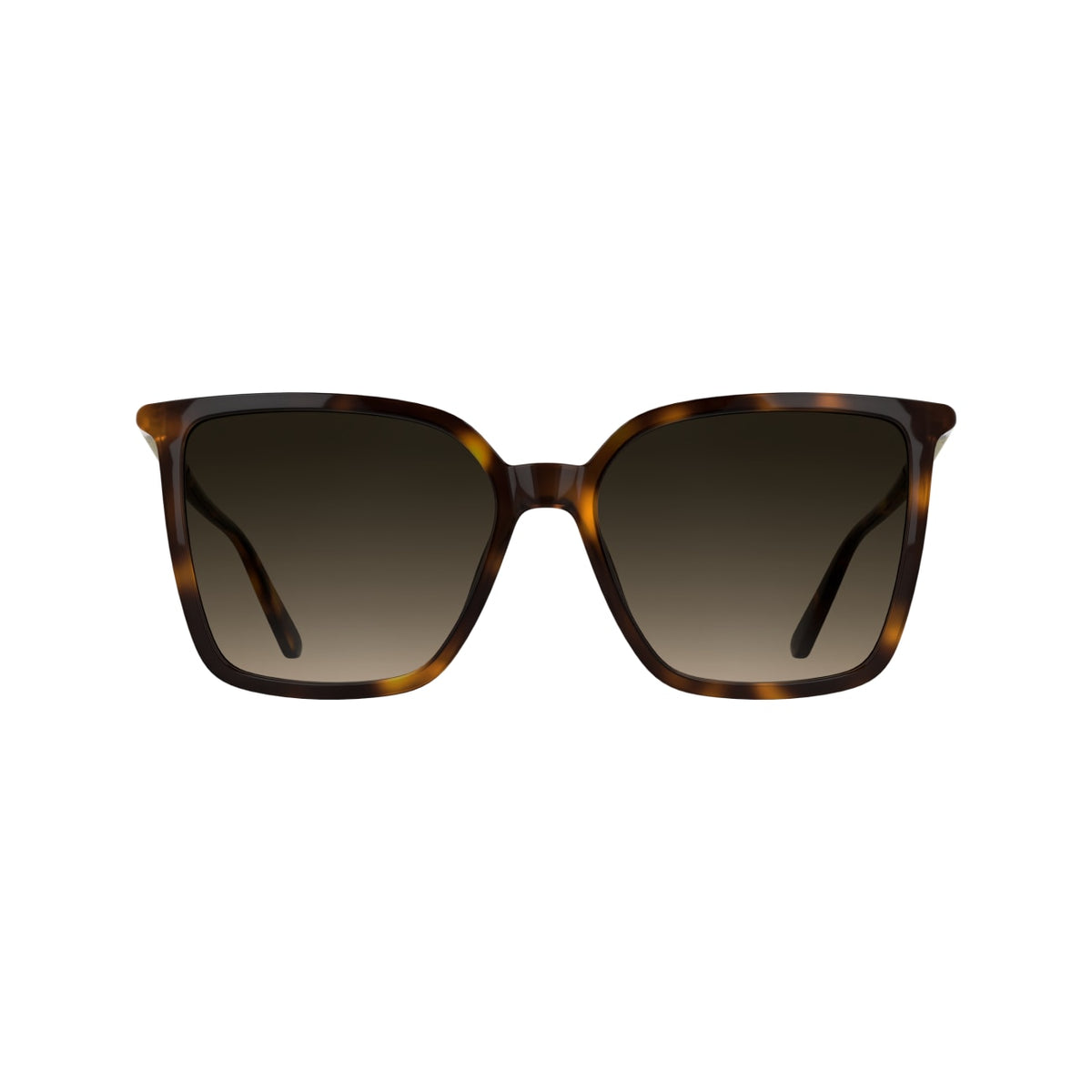 Gafas de Sol Calvin Klein (Ck) CK26502S 240 56 16