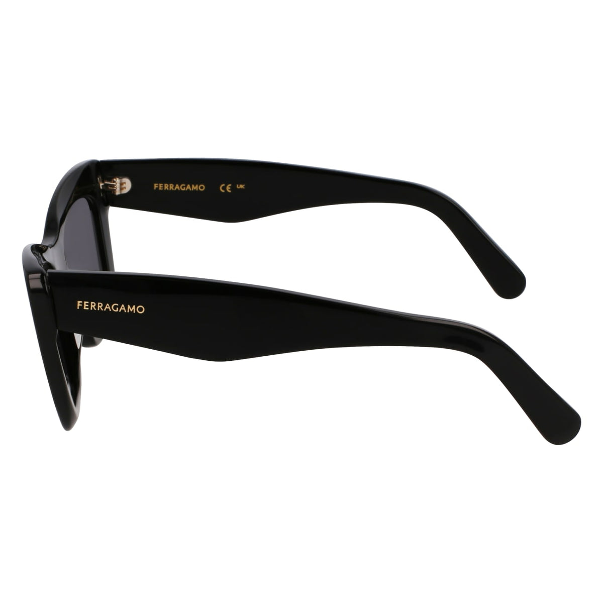 Sunglasses Ferragamo SF929SN 001 55 17