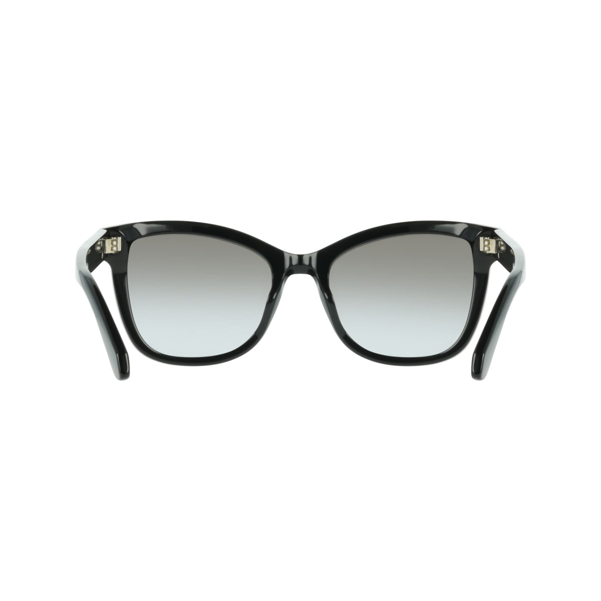 Gafas de Sol Ferragamo SF2108S 001 54 19