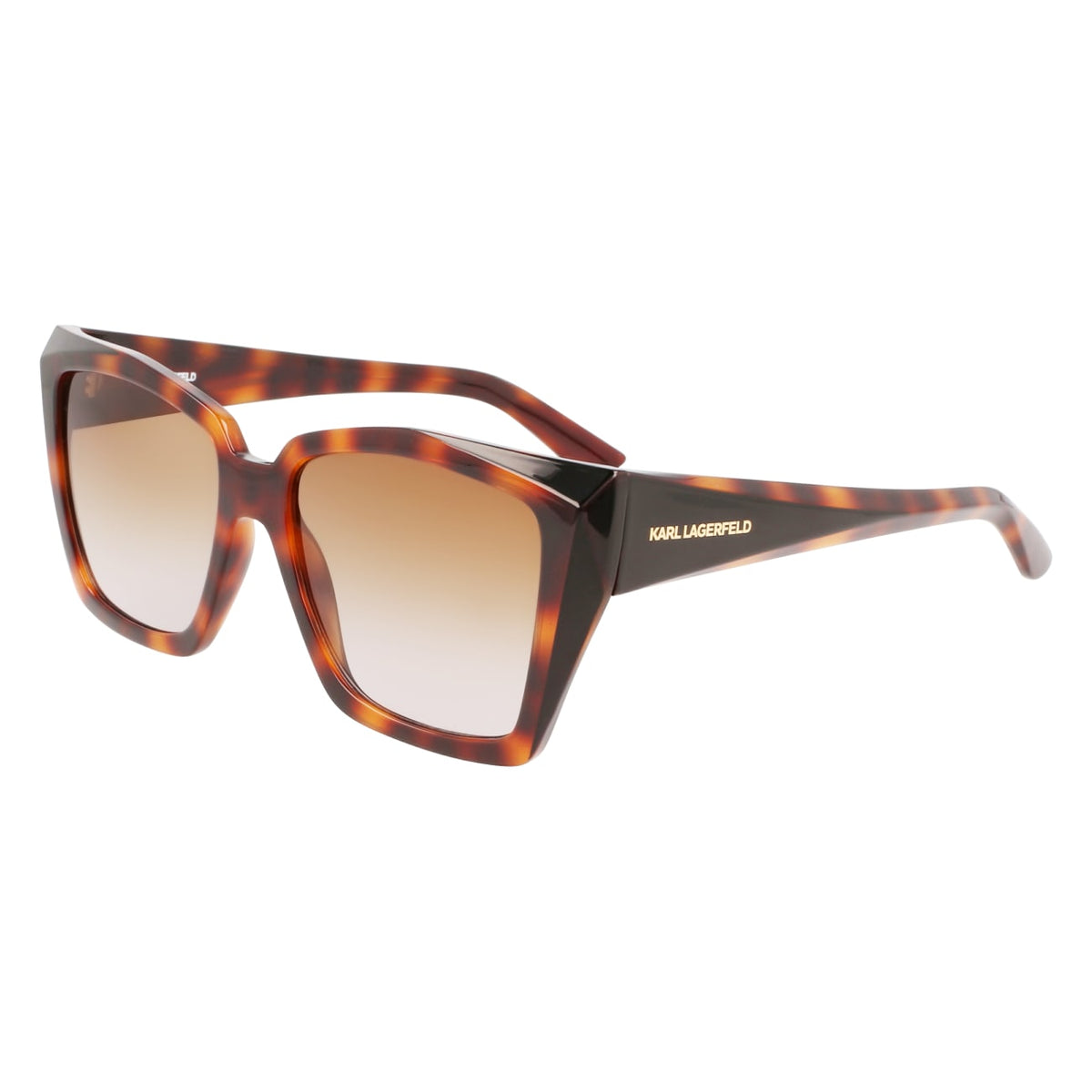 Gafas de Sol Karl Lagerfeld KL6072S 240 55 16