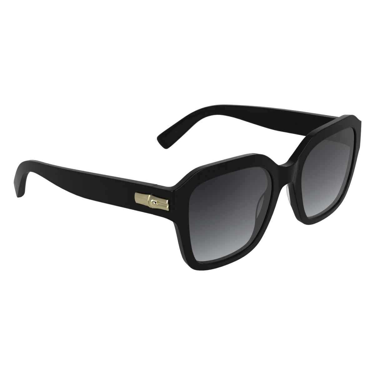 Sunglasses Longchamp LO816S 001 53 20