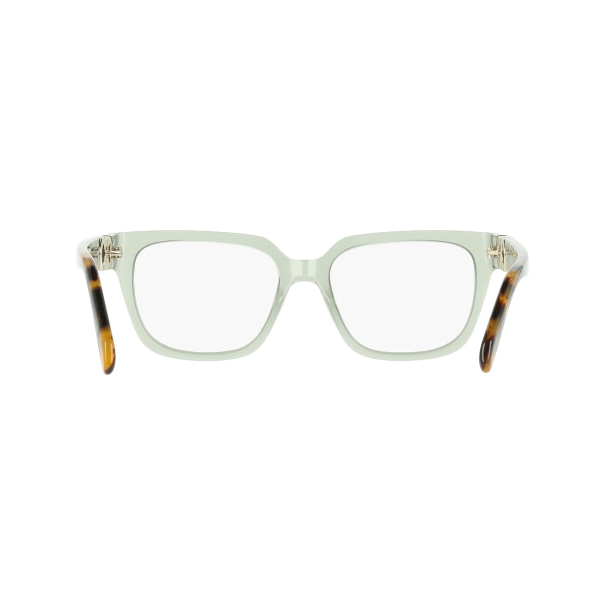 Gafas Graduadas Ferragamo SF3056 313 55 18