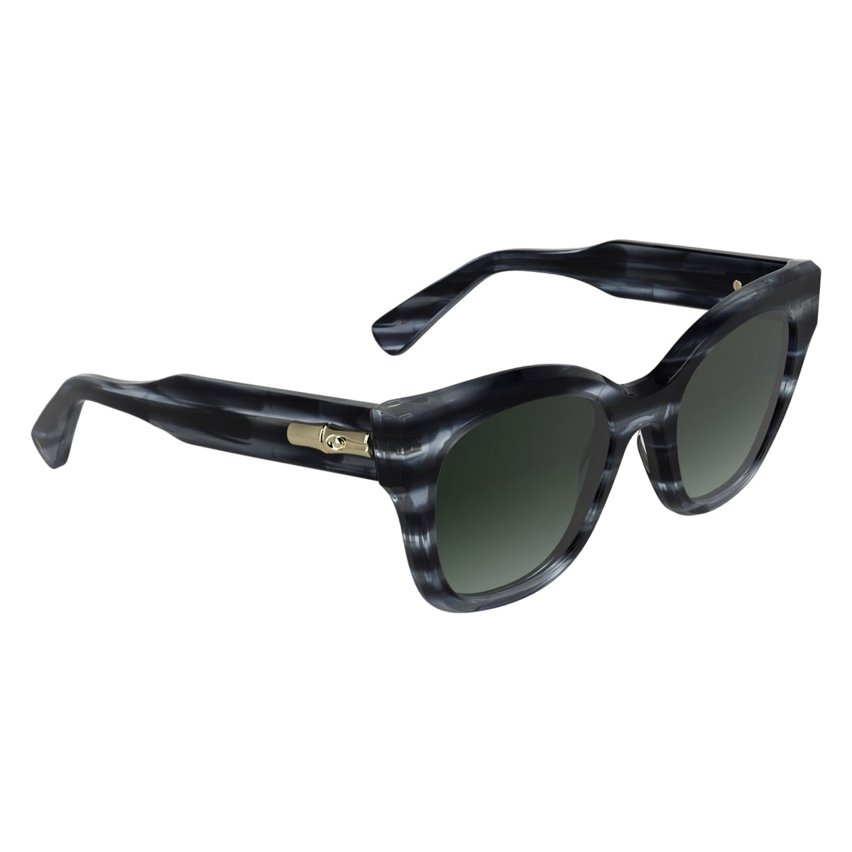 Sunglasses Longchamp LO791S 036 51 21