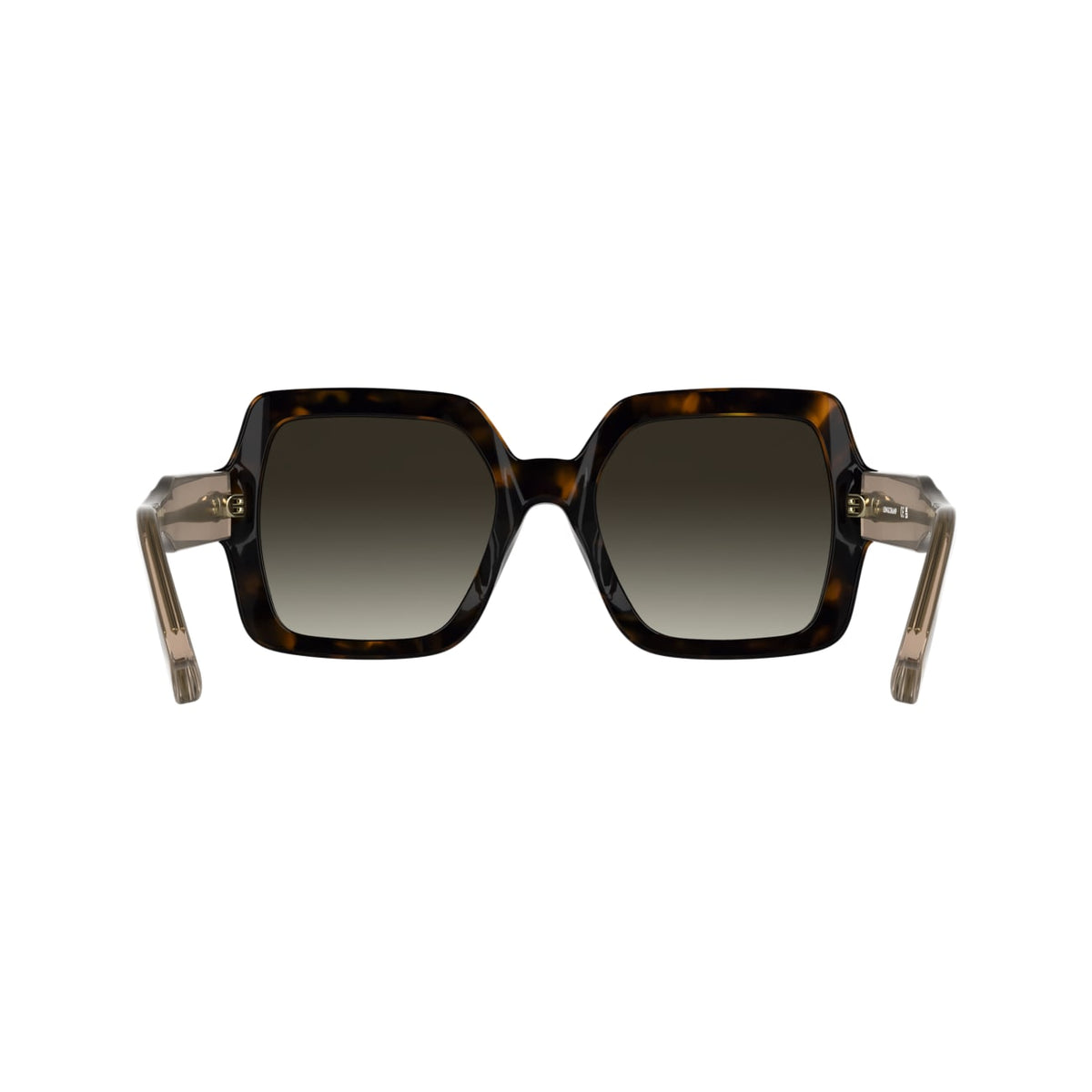 Gafas de Sol Longchamp LO790S 231 54 22
