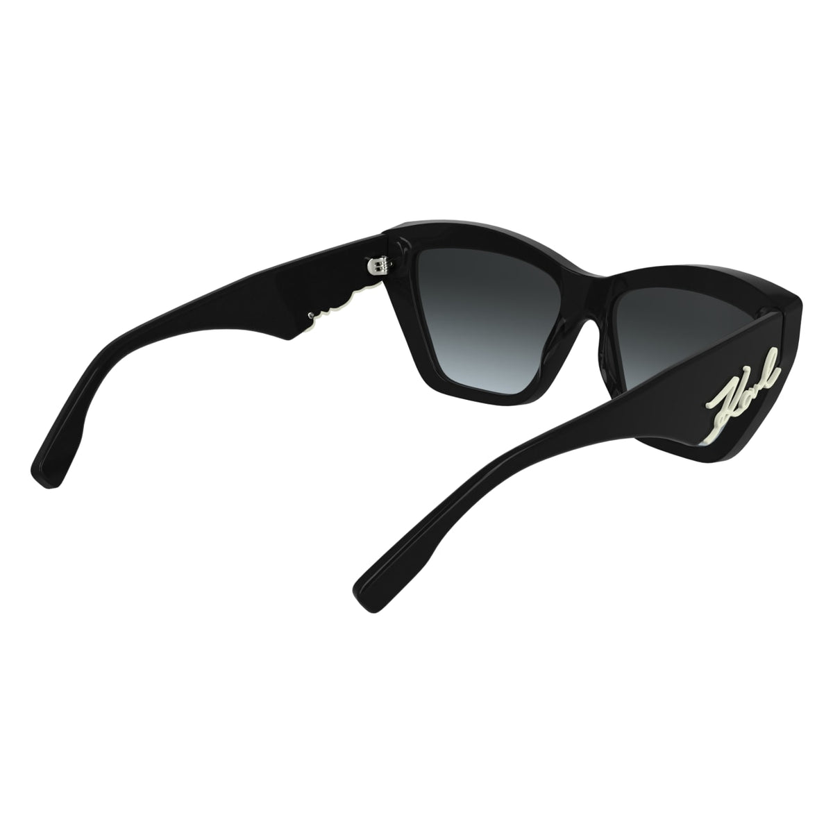 Gafas de Sol Karl Lagerfeld KL6179S 001 55 16