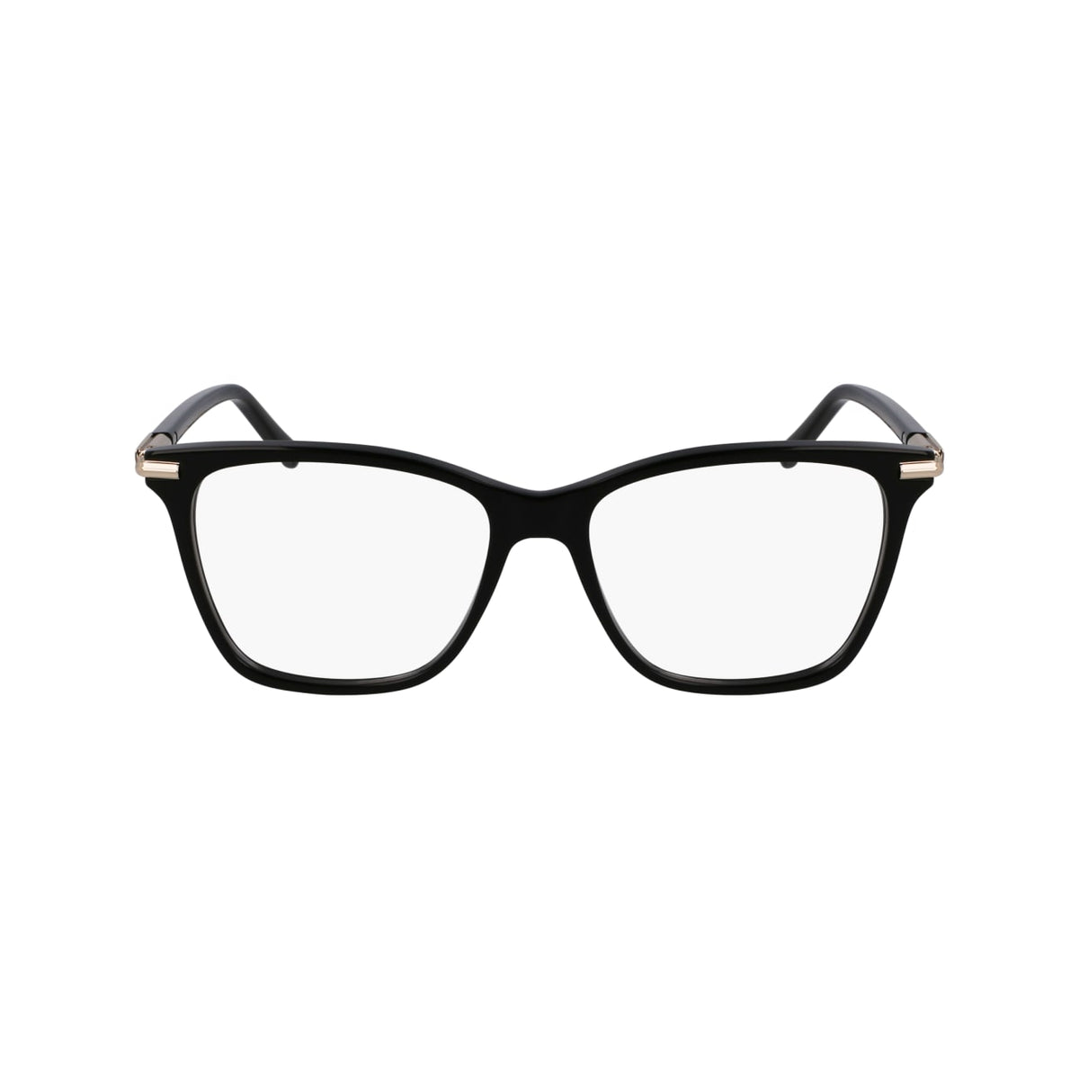 Prescription Glasses Ferragamo SF3013 001 53 / 55 15