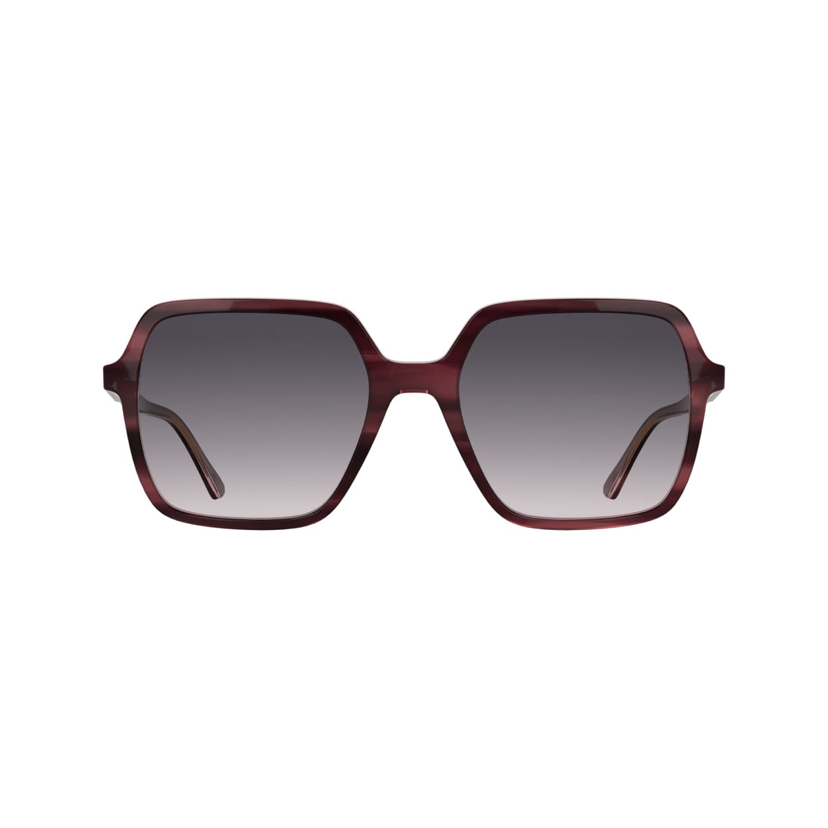 Gafas de Sol Calvin Klein (Ck) CK26531S 608 55 19