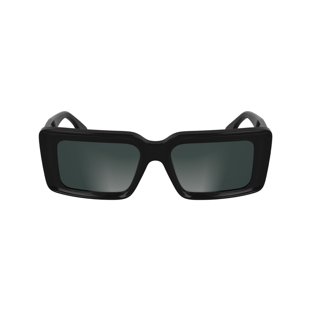 Sunglasses Karl Lagerfeld KL6180S 001 53 17