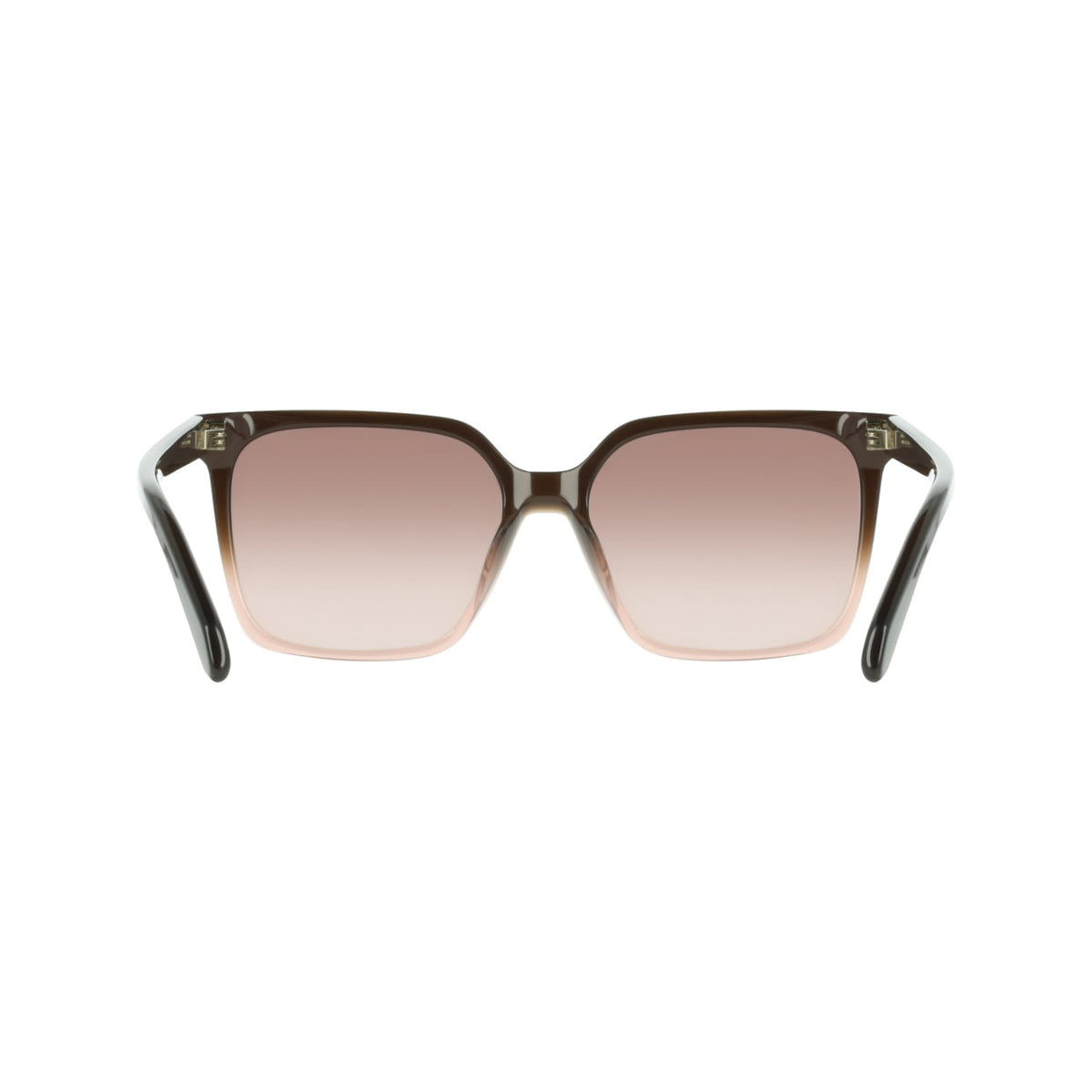 Gafas de Sol Ferragamo SF2102S 234 57 16