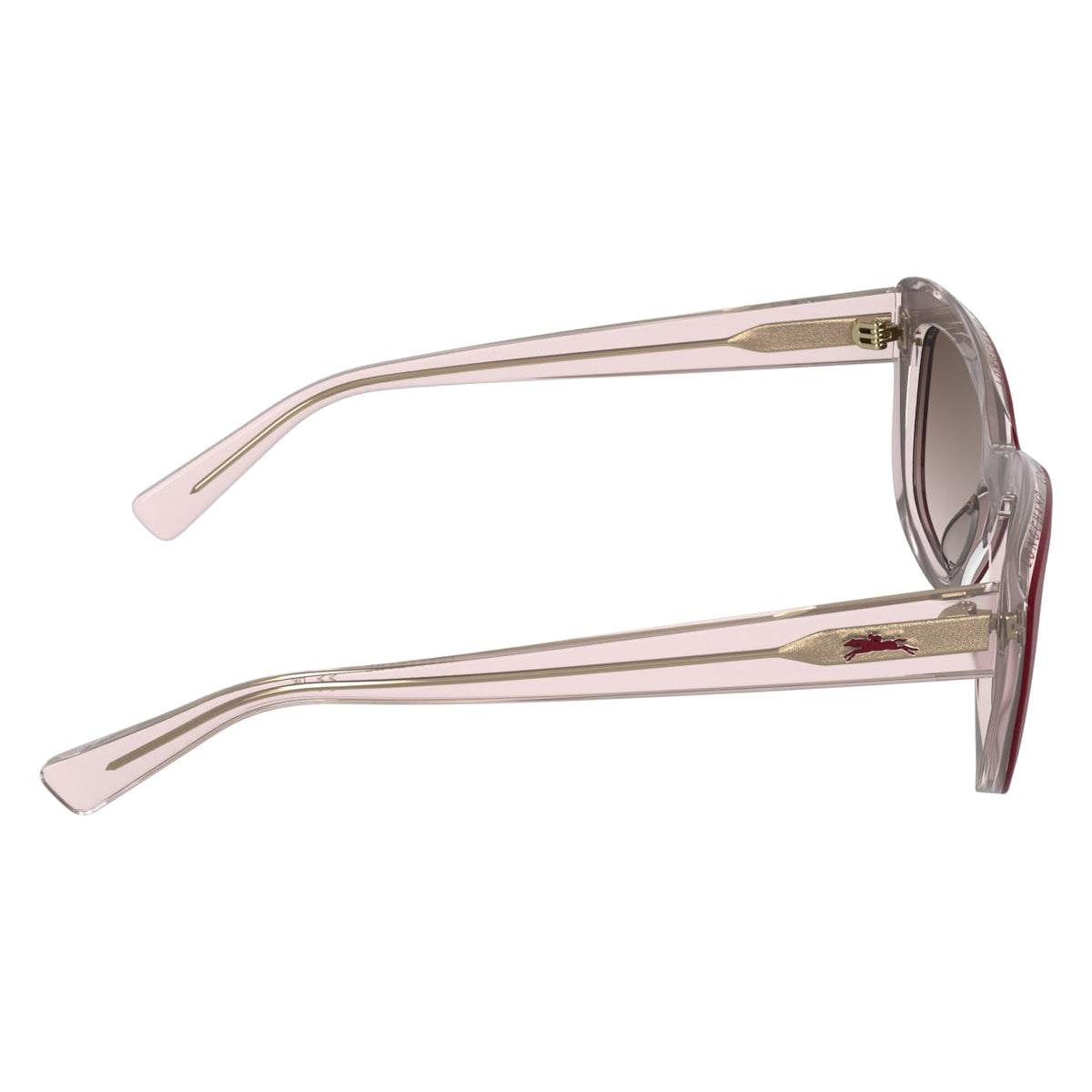 Gafas de Sol Longchamp LO817S 623 53 19