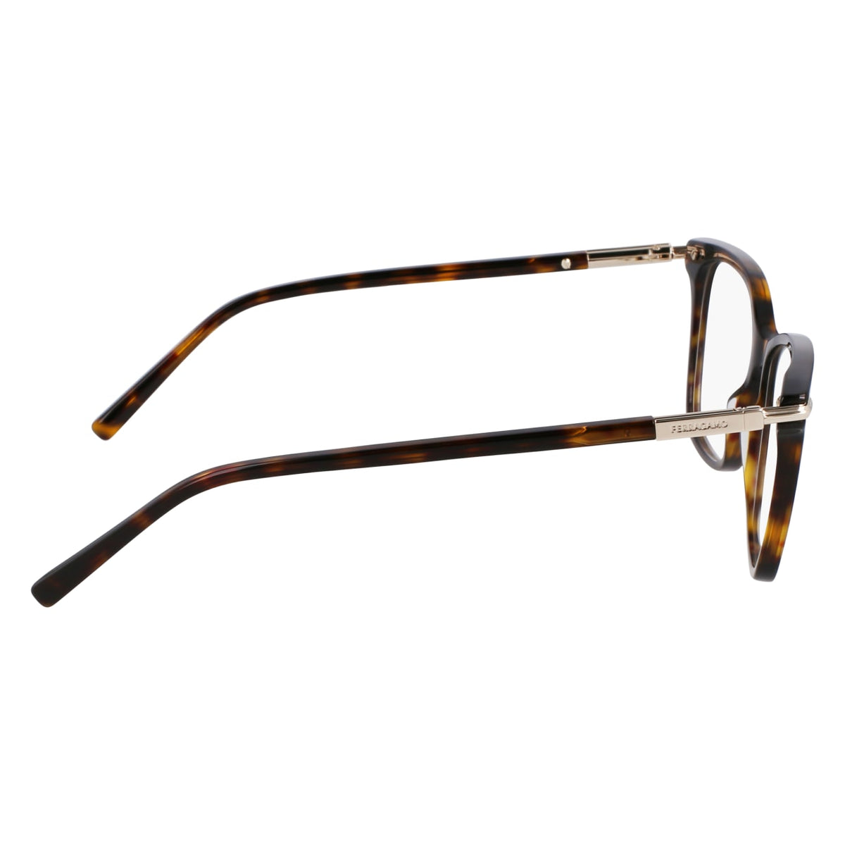 Prescription Glasses Ferragamo SF3013 242 53 / 55 15