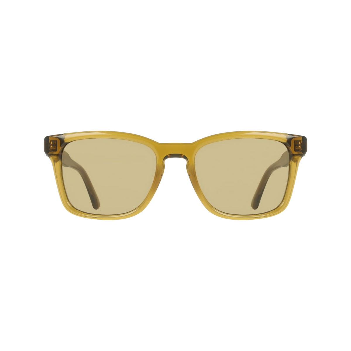 Sunglasses Ferragamo SF2086SE 259 55 19