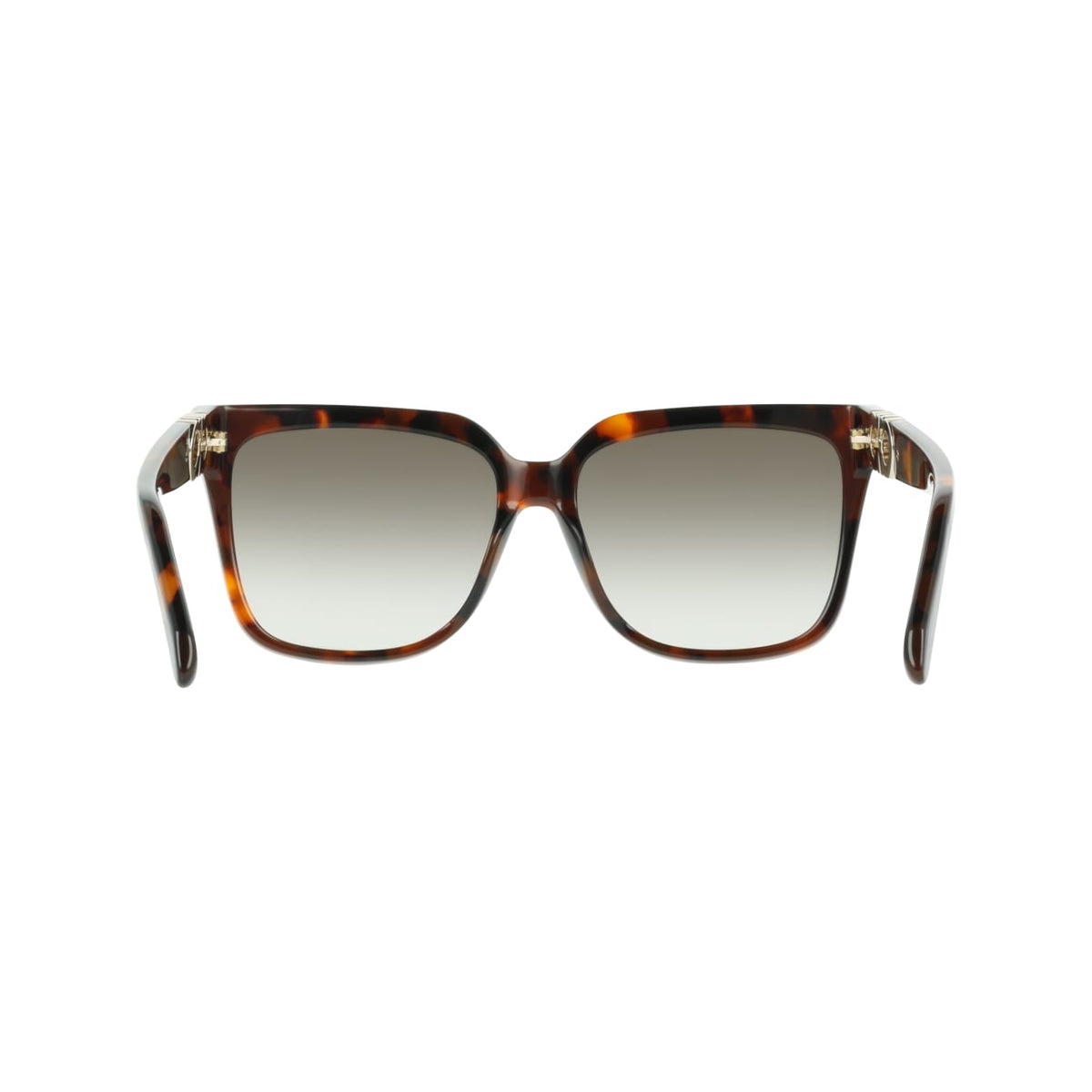 Gafas de Sol Ferragamo SF2109S 240 58 16