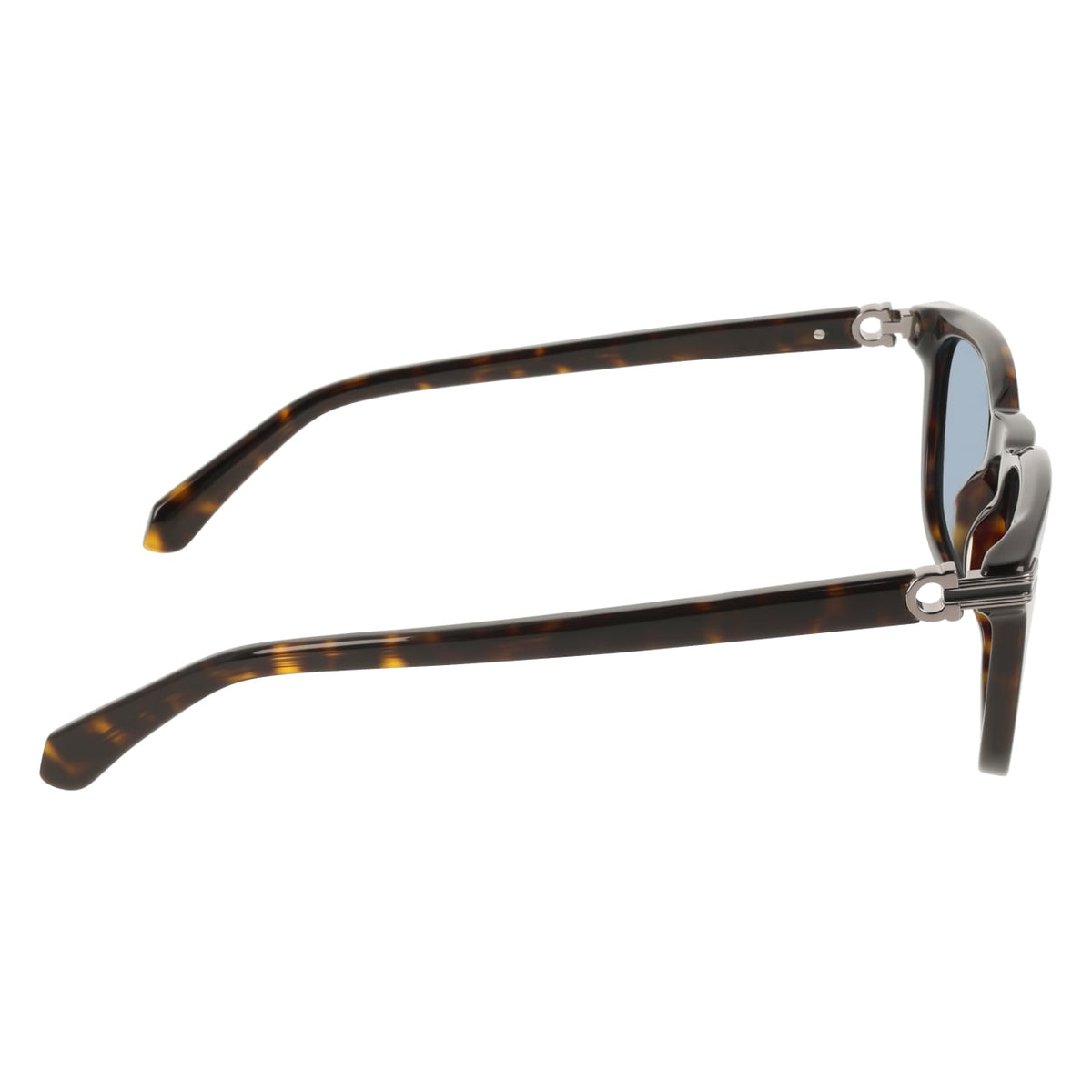 Gafas de Sol Ferragamo SF2120S 242 53 21