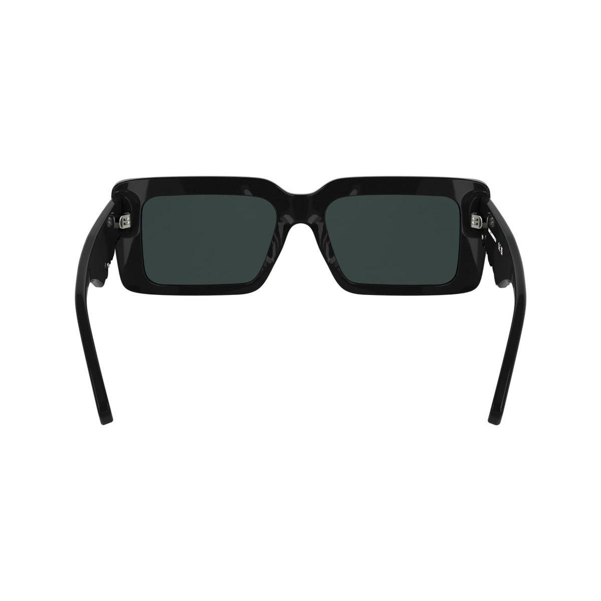 Sunglasses Karl Lagerfeld KL6180S 001 53 17