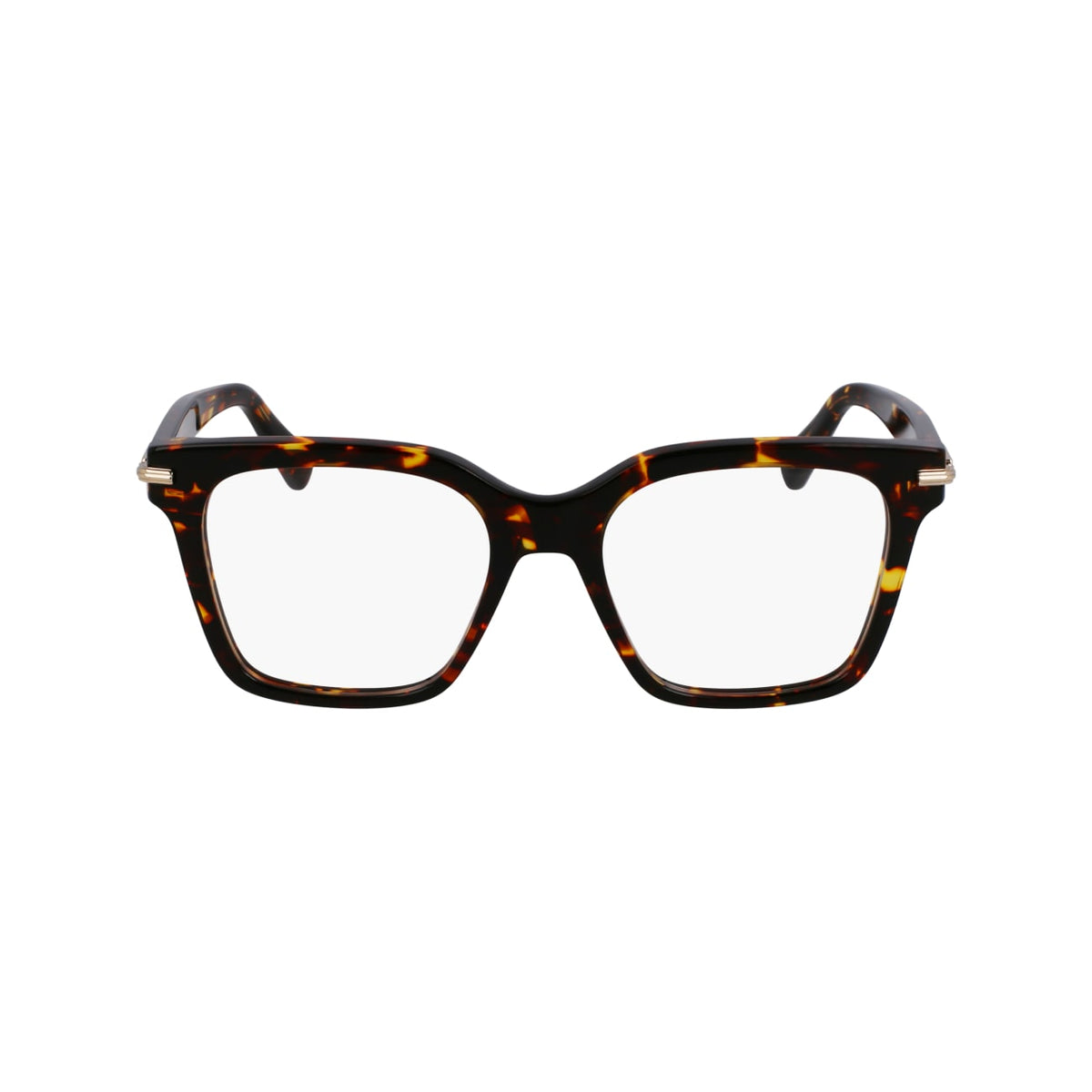 Gafas Graduadas Ferragamo SF3009 242 52 18