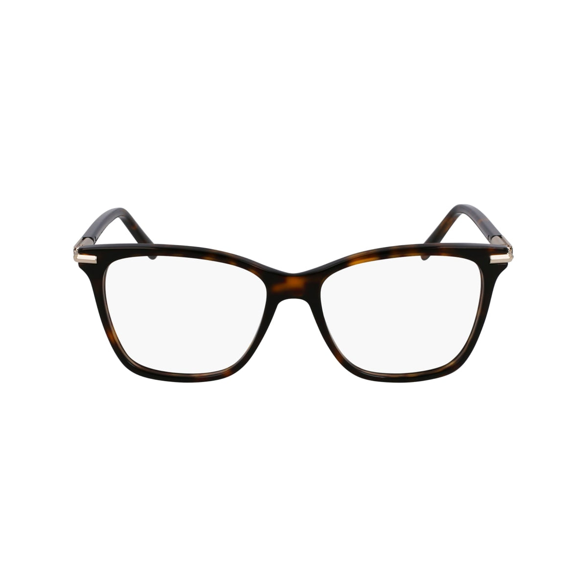 Prescription Glasses Ferragamo SF3013 242 53 / 55 15