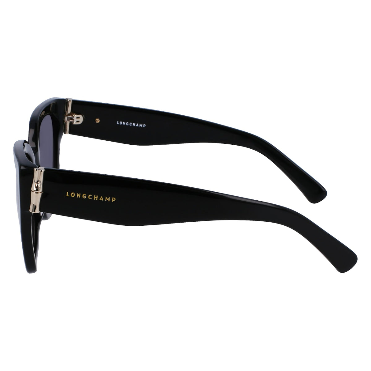 Gafas de Sol Longchamp LO732S 001 55 20