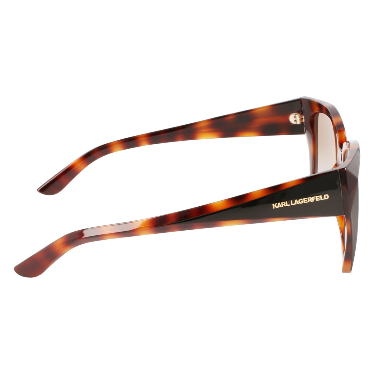 Gafas de Sol Karl Lagerfeld KL6072S 240 55 16