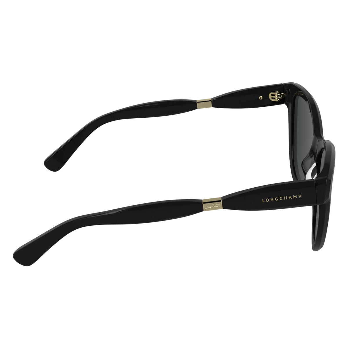 Gafas de Sol Longchamp LO804S 001 54 17