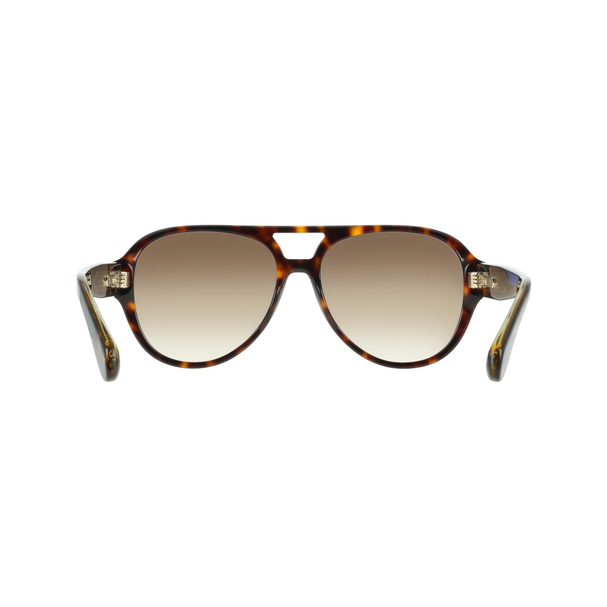 Gafas de Sol Ferragamo SF2147S 242 58 16