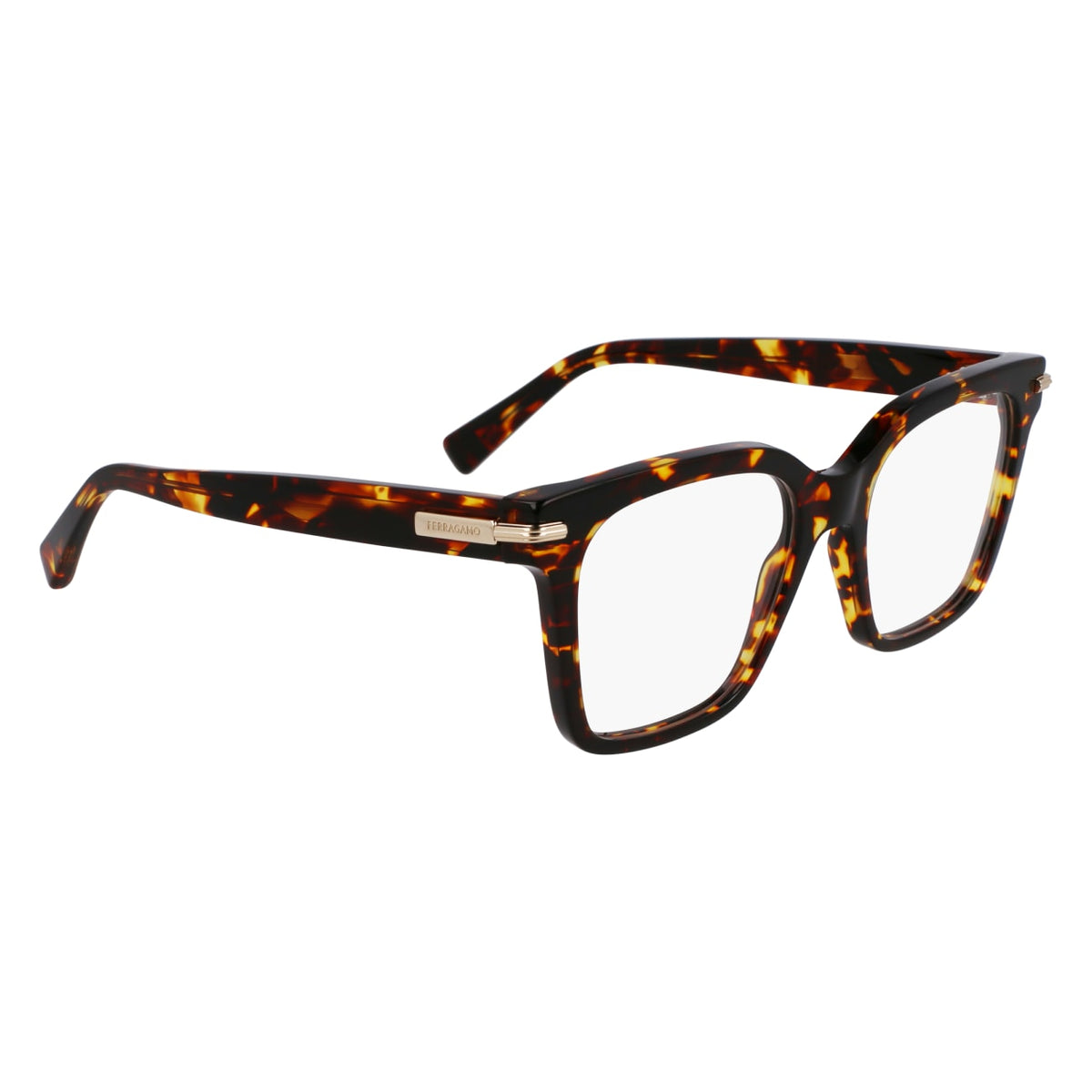 Gafas Graduadas Ferragamo SF3009 242 52 18