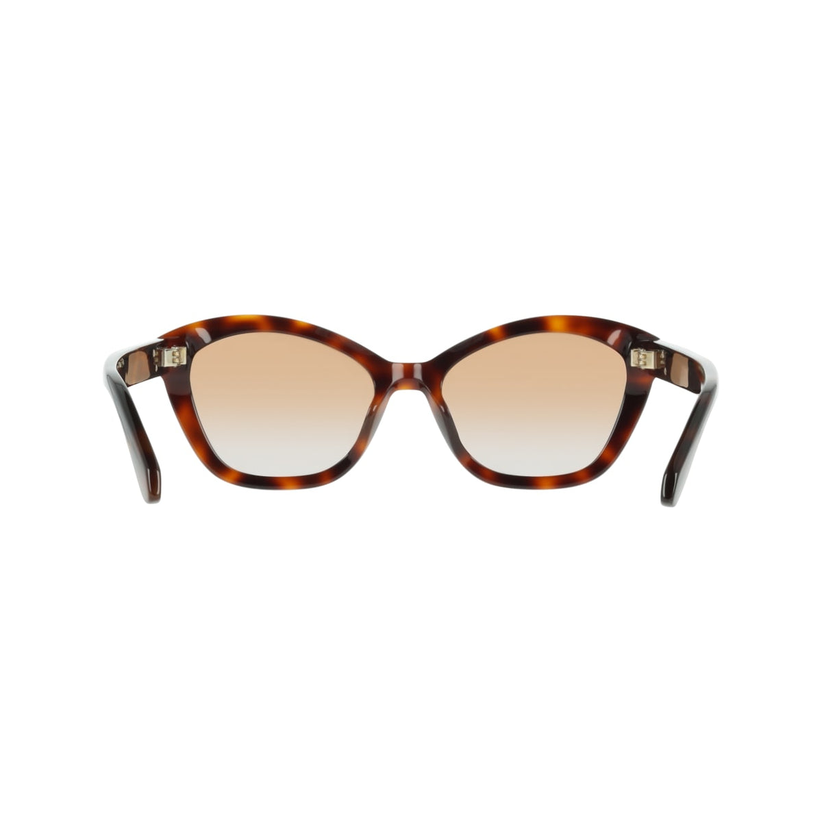 Sunglasses Ferragamo SF2119S 240 55 18