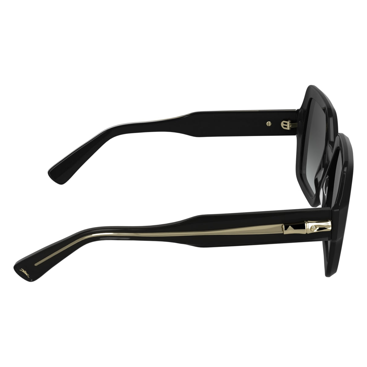 Sunglasses Longchamp LO790S 001 54 22